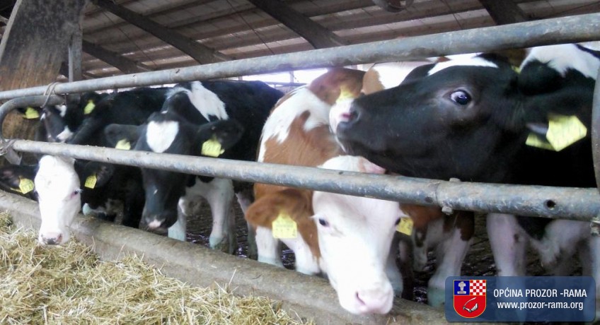 Odluka o potpori osnivanju i razvoju malih stočarskih farmi na području općine Prozor - Rama