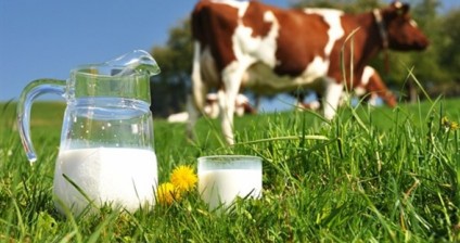 Javni poziv za odabir korisnika sredstava za potporu proizvodnji kravljeg mlijeka